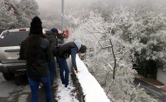 ¡Cobija hasta al perrito!: habrá lluvias, viento y mucho frío por el aire ártico
