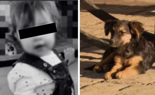 Nena de 2 añitos MUERE por comer galleta ENVENENADA que lanzaron a un perro