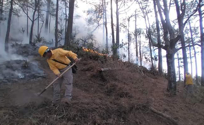 Por incendio forestal evacúan a 12 familias en Santiago, Nuevo León