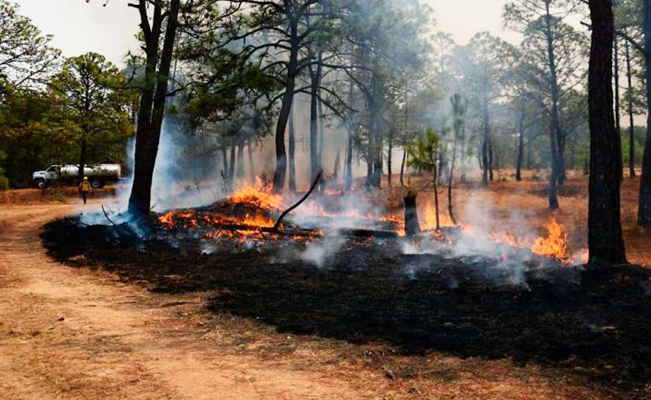 En 24 horas, se elevan de 68 a 89 los incendios activos en México