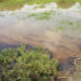 Se quedan sin agua más de 600 mil personas por derrame de hidrocarburo en Tabasco