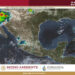 ¡Onda tropical 14 y 15 junto al monzón mexicano traerán más lluvias al país!