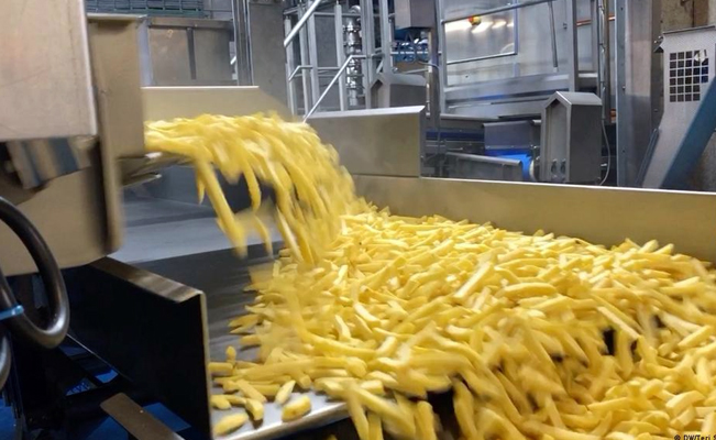 Terrible final: cae a una máquina trituradora de papas