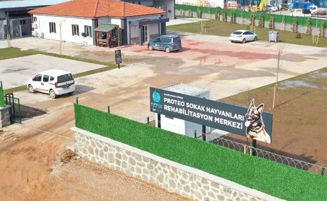 Centro de rehabilitación animal llevará el nombre de Proteo en Turquía