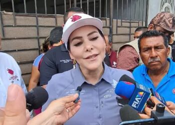 Tiene nuevos enfoques administración de Carmen Lilia Canturosas