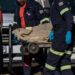 Hombres armados irrumpen en albergue y matan a 8 personas en Sudáfrica