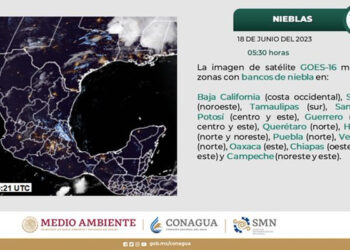 ¡Toma el clima en cuenta si haces carnita asada el domingo!