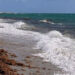 Reportan 5 muertes por ‘bacteria come carne’ en playas de Florida