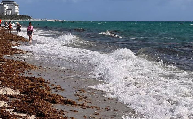Reportan 5 muertes por ‘bacteria come carne’ en playas de Florida
