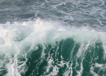 En Japón, activan alerta de tsunami tras reciente sismo